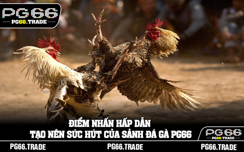 Điểm nhấn hấp dẫn tạo nên sức hút của sảnh đá gà PG66