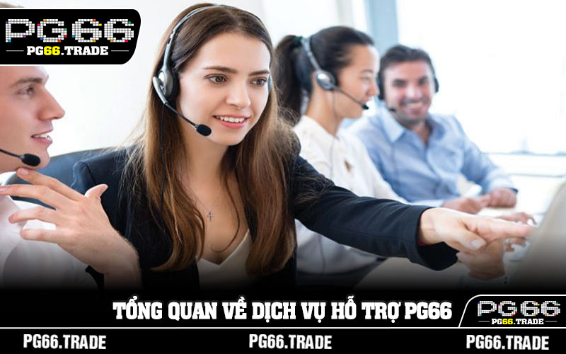 Tổng quan về dịch vụ hỗ trợ PG66