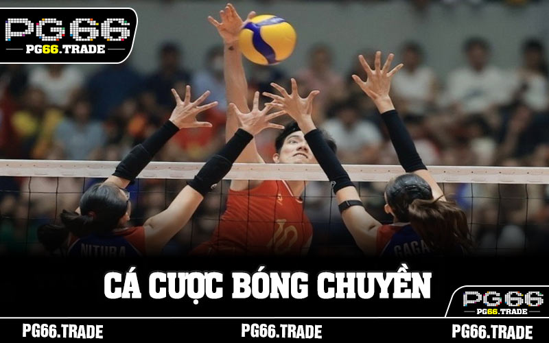Cá Cược Bóng Chuyền