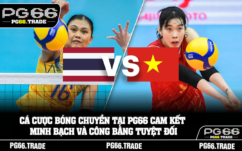 Cá cược bóng chuyền tại PG66 cam kết minh bạch và công bằng tuyệt đối