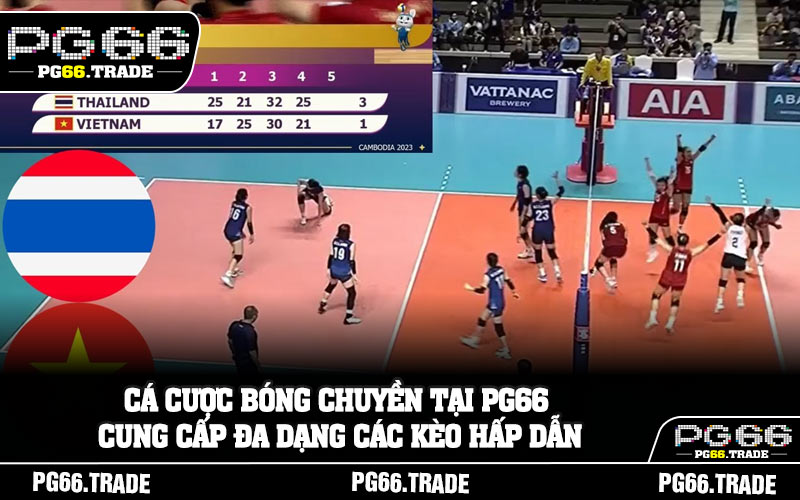 Cá cược bóng chuyền tại PG66 cung cấp đa dạng các kèo hấp dẫn