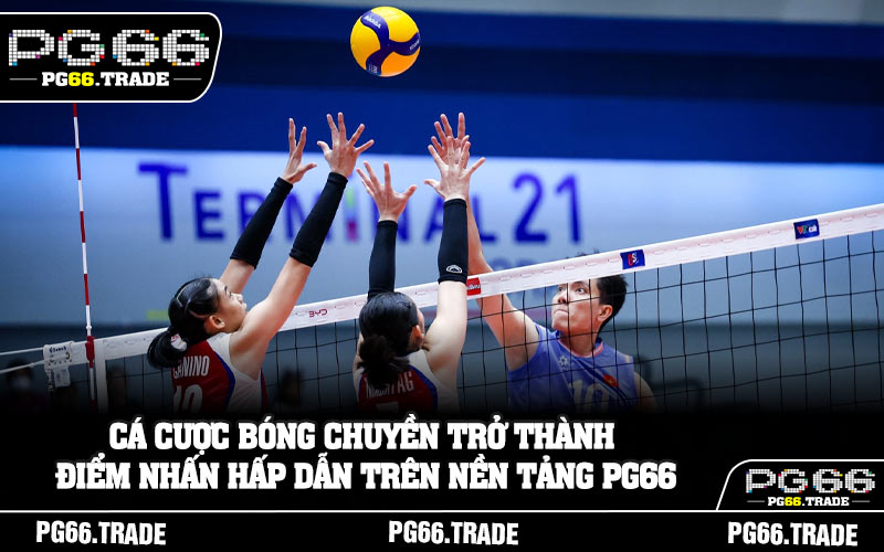 Cá cược bóng chuyền trở thành điểm nhấn hấp dẫn trên nền tảng PG66